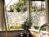 Dekorativních fólie na okna, dveře i skleněné přepážky – nový vzhled pro vaše sklo
